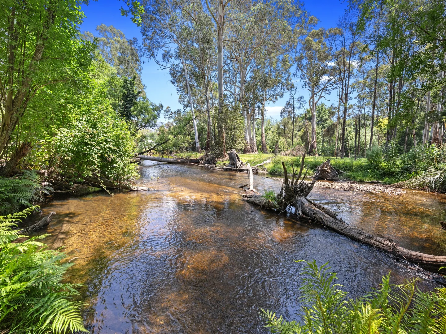 Additional image 3 of 40 Mareeba Avenue, Buxton VIC 3711