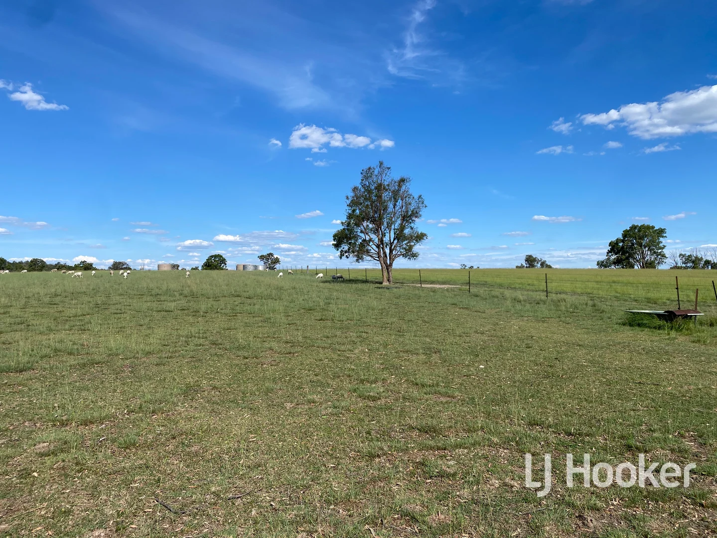 Additional image 6 of 1223 Karoola Road, Inverell NSW 2360