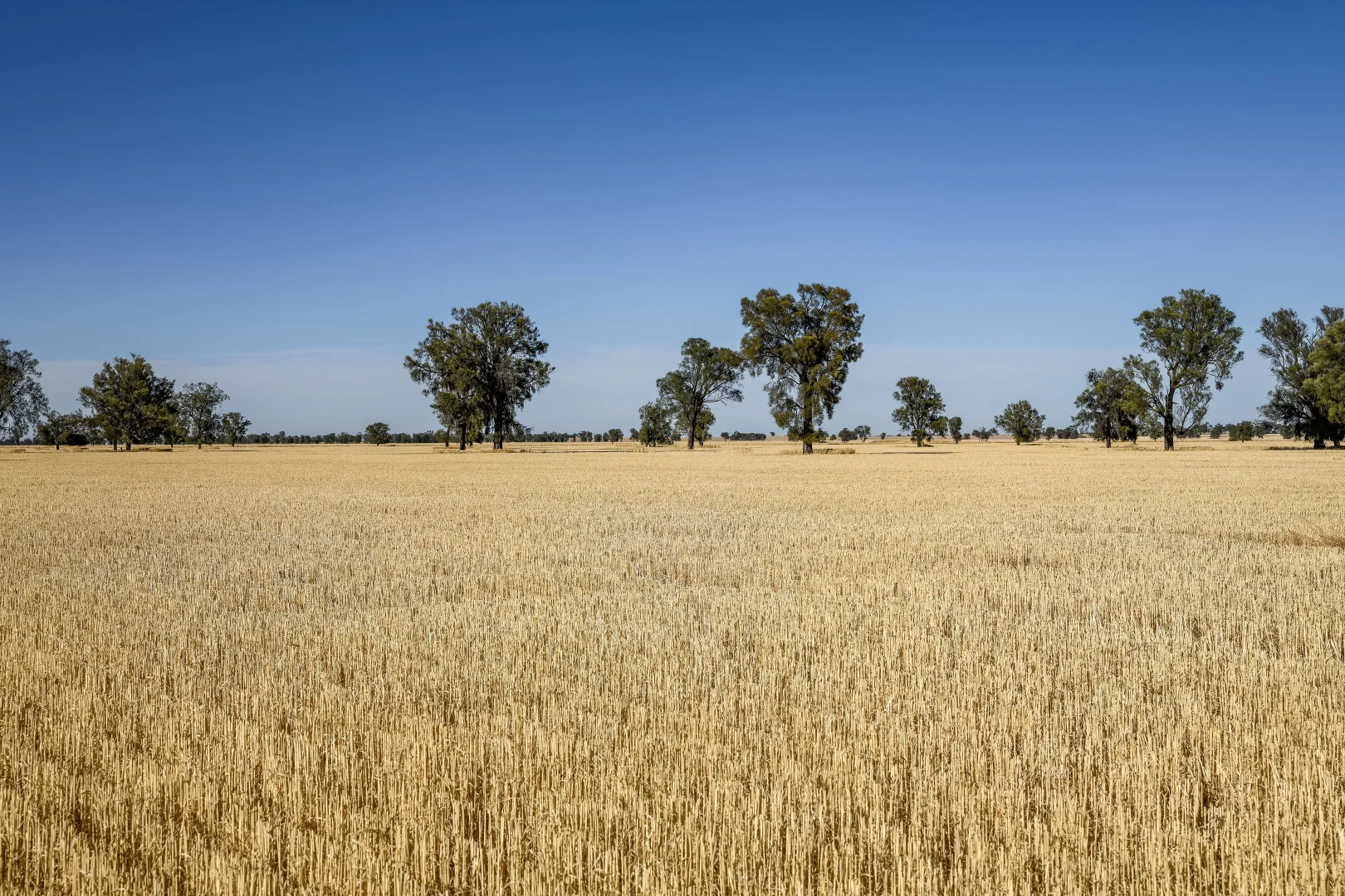 Additional image 8 of CA 37B & CA 38A Natimuk-Hamilton Road, Noradjuha VIC 3409