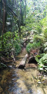 Additional image 6 of Lot 213 Kelly Road, Ellinjaa QLD 4886