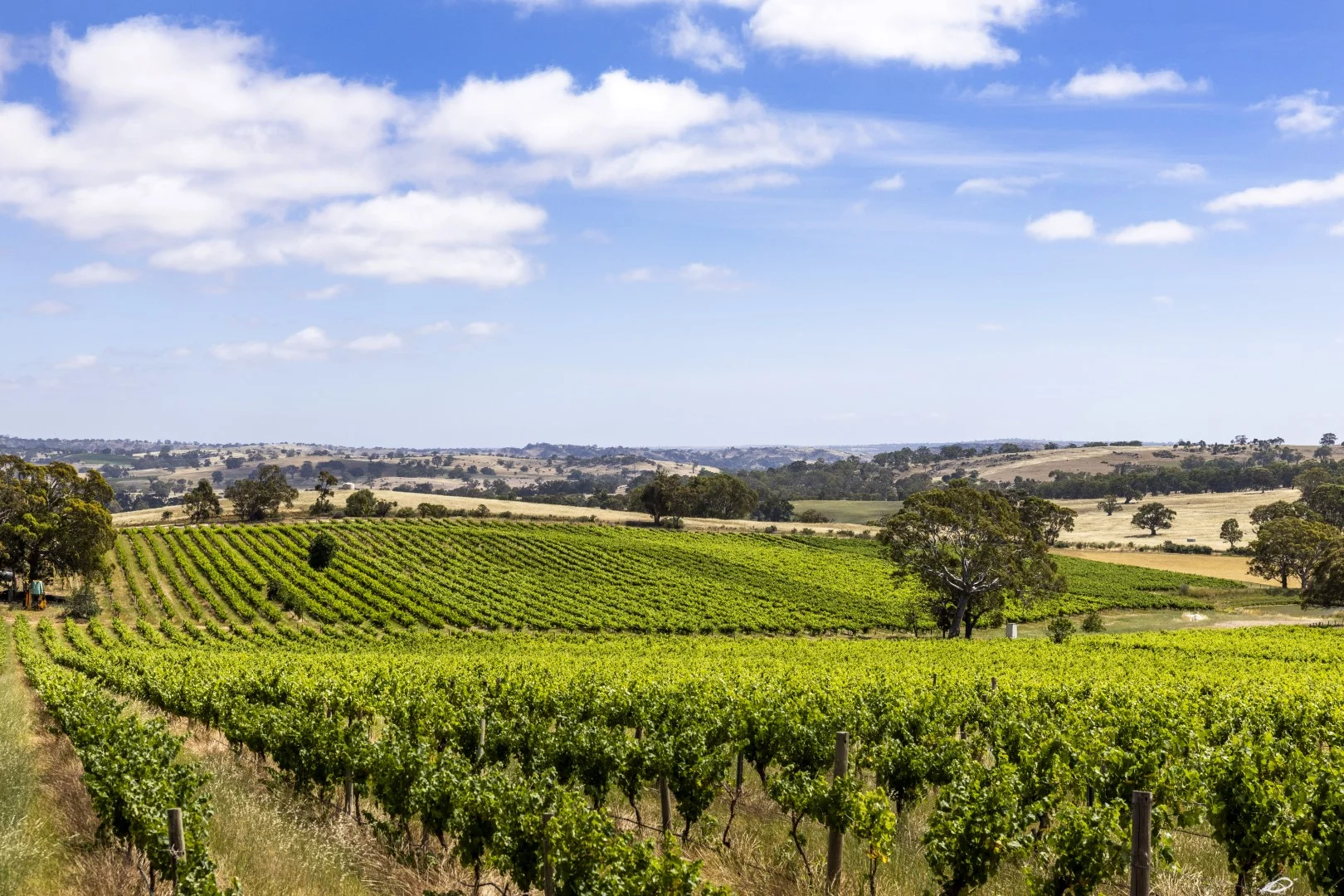 Additional image 3 of 178 Jutland Road, Springton SA 5235