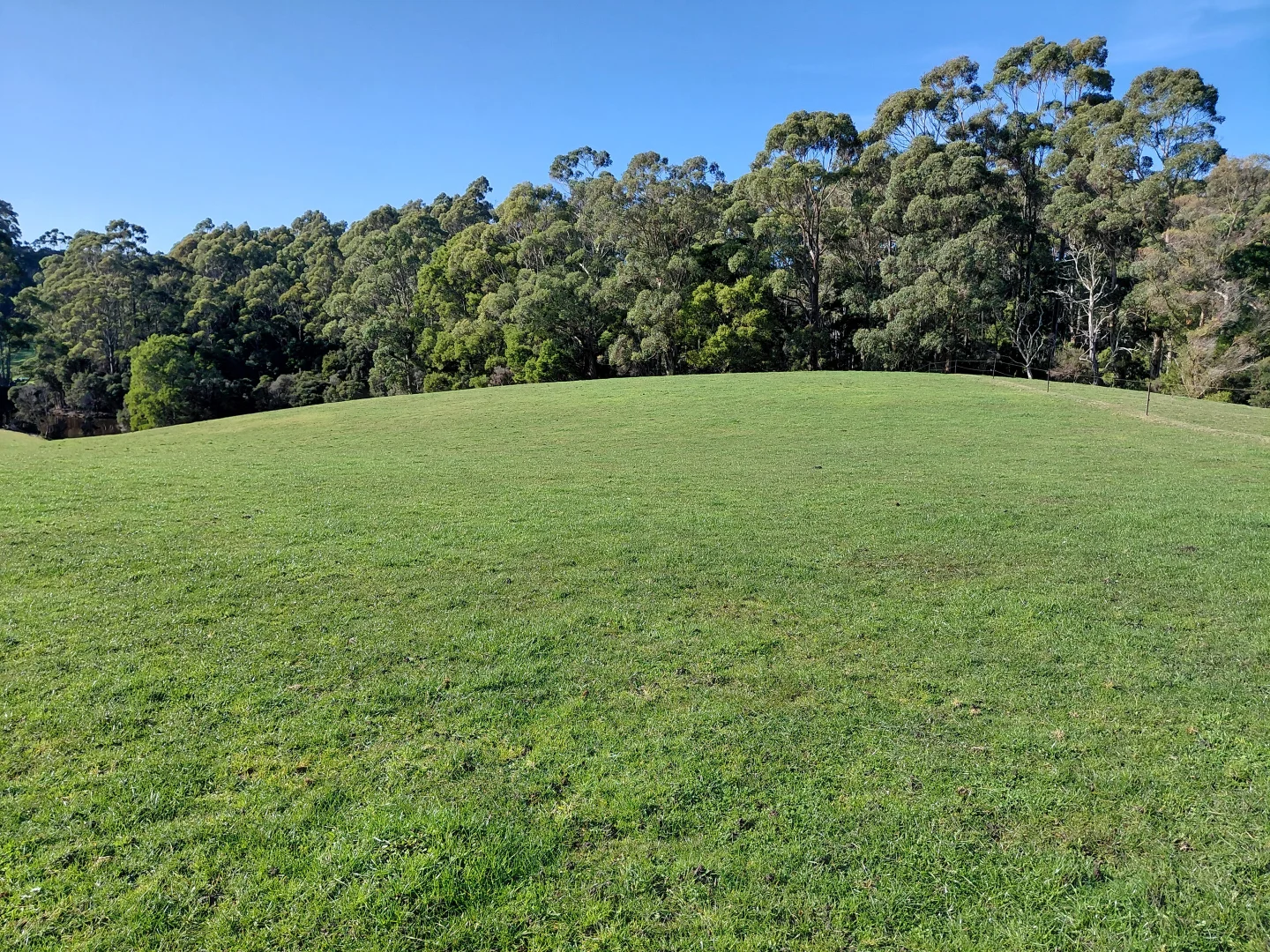 Additional image 16 of 223 Pollards Road, Rocky Cape TAS 7321