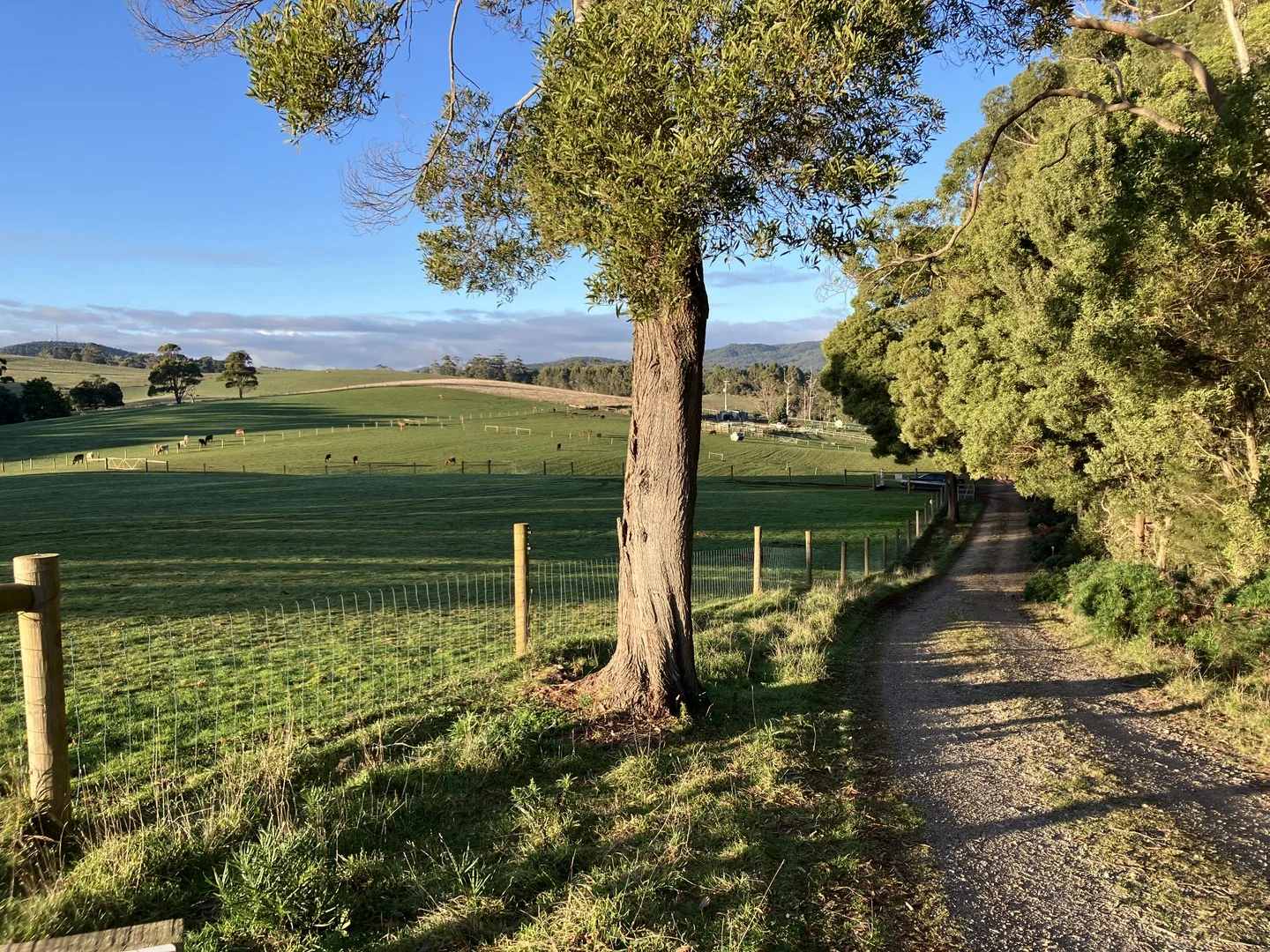 223 Pollards Road, Rocky Cape TAS 7321