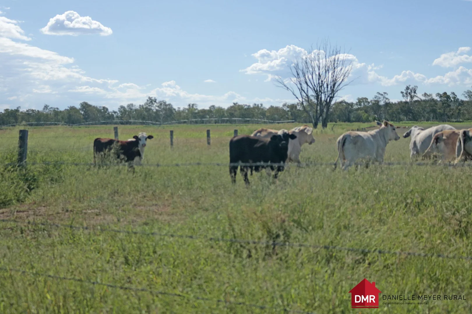 Additional image 29 of 95 Monto Mount Perry Road, Tellebang QLD 4630