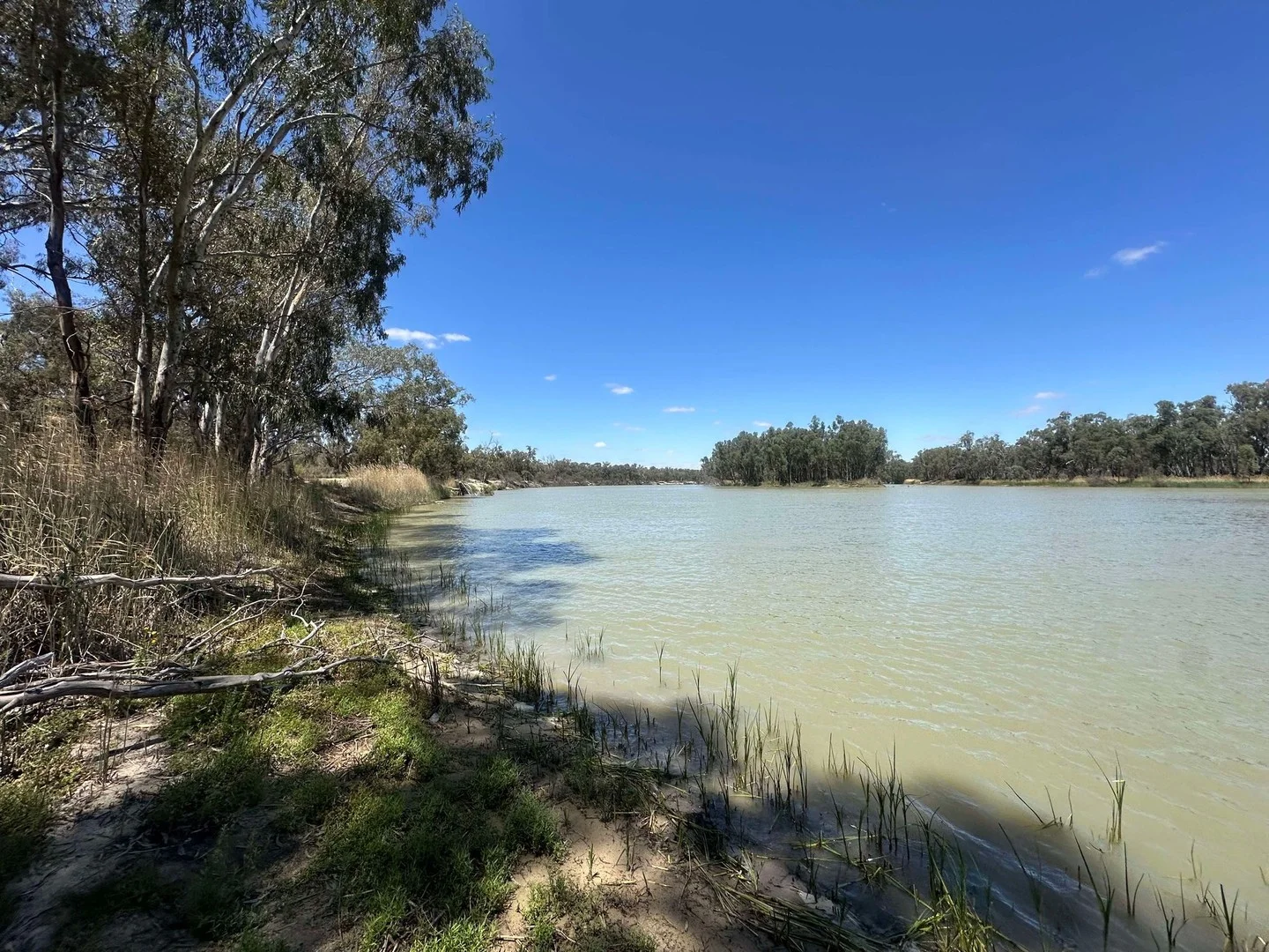 2/145 Lock 5 Road, Paringa SA 5340