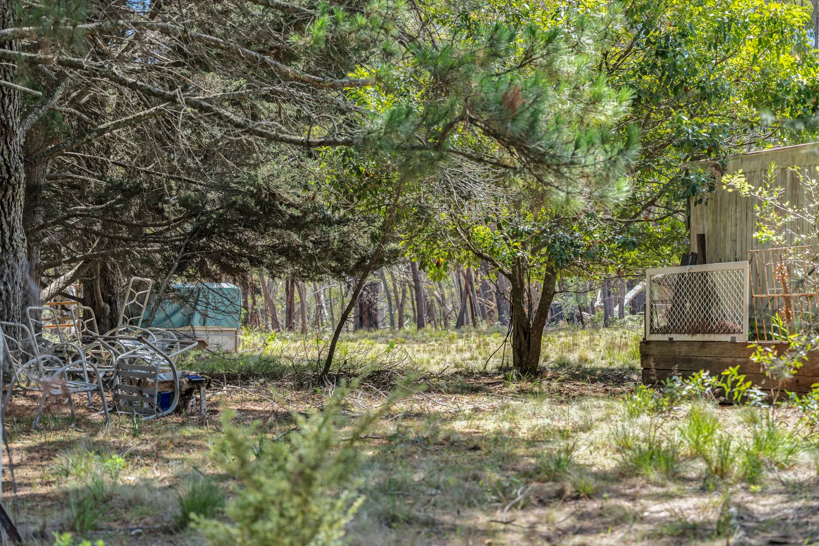 Additional image 19 of 275 Mares Forest Road, Wombeyan Caves NSW 2580
