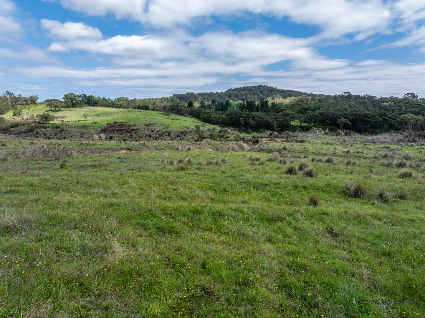 Additional image 4 of 1130 Majors Creek Road, Braidwood NSW 2622