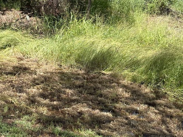 Additional image 4 of 8 Fuller Street, Hivesville QLD 4612