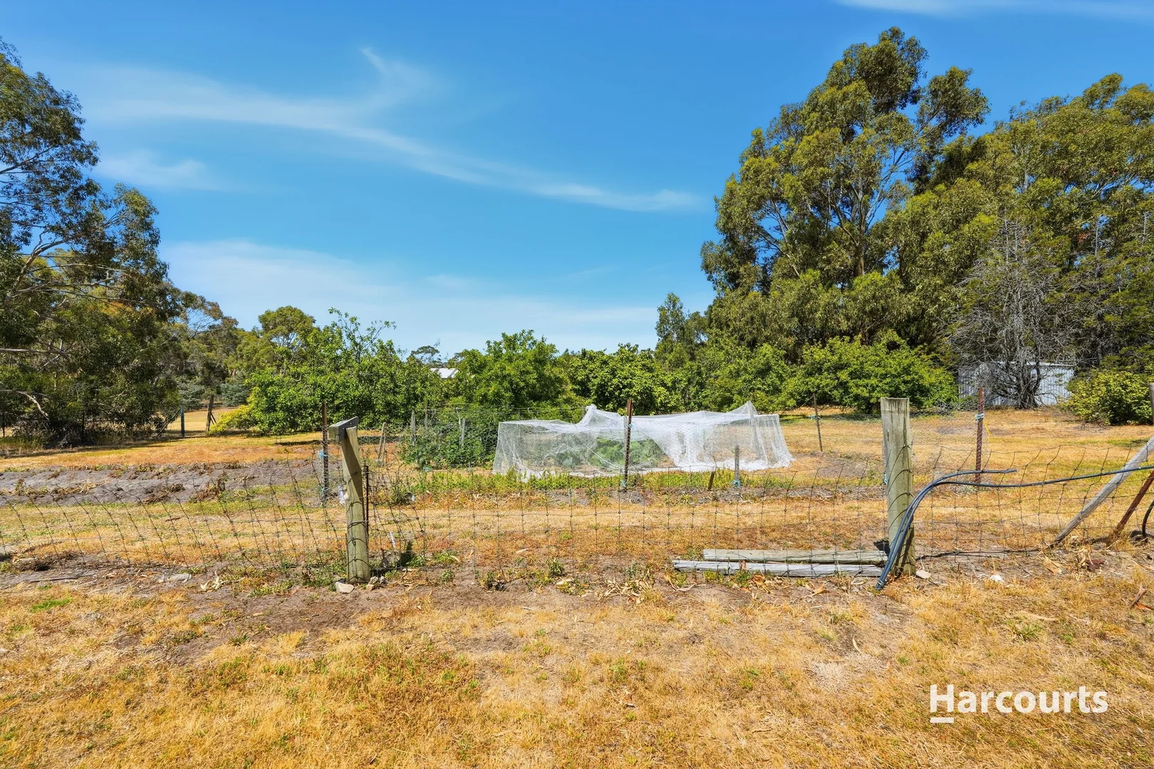 Additional image 33 of 1 Agnes Street, Triabunna TAS 7190