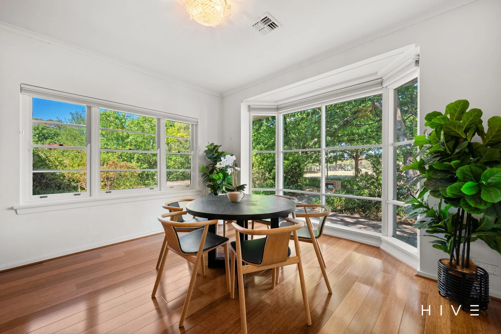 Additional image 12 of 7 McCaughey Street, Turner ACT 2612