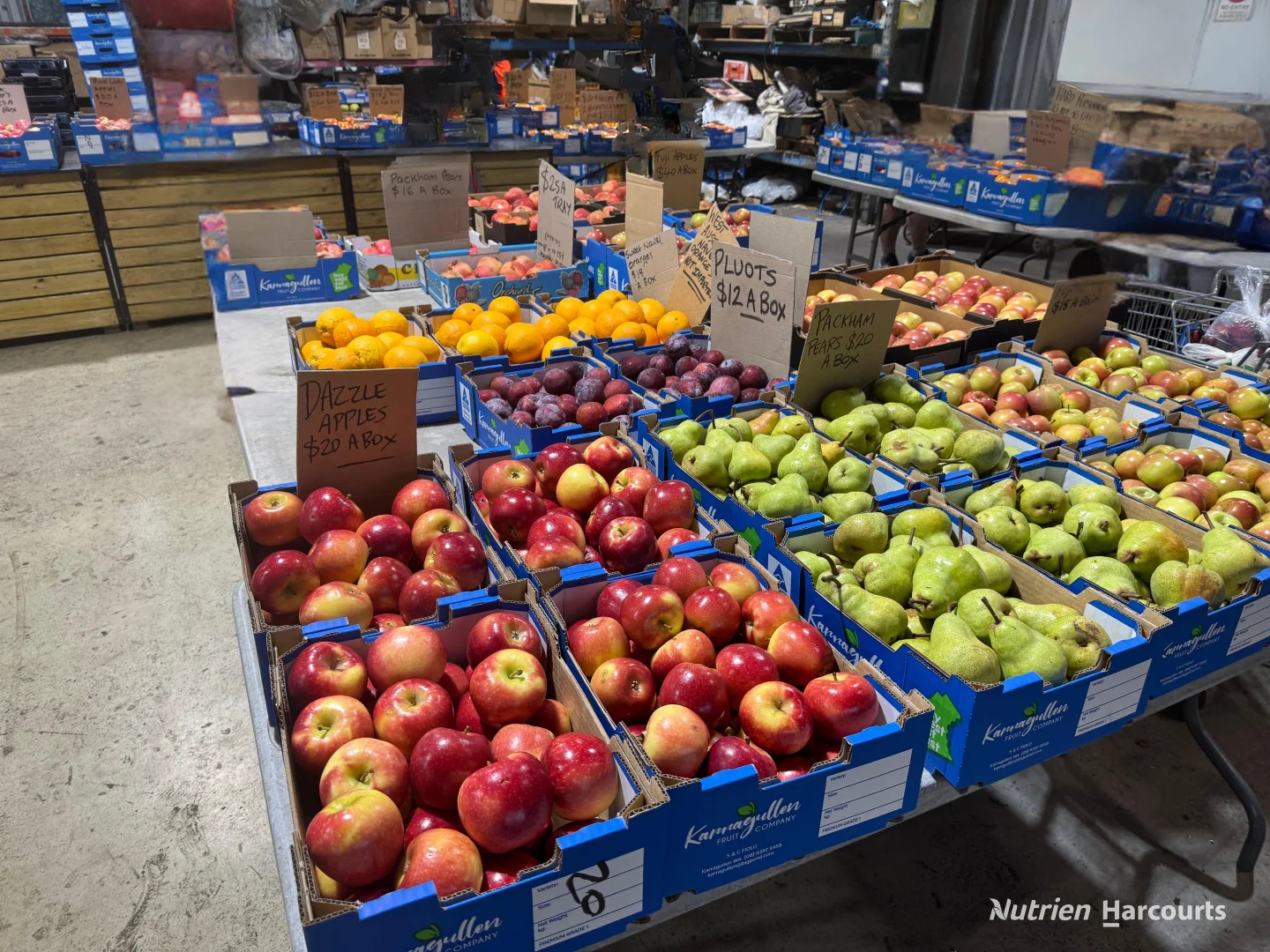 Additional image 9 of 1311 Brookton Highway, Karragullen WA 6111