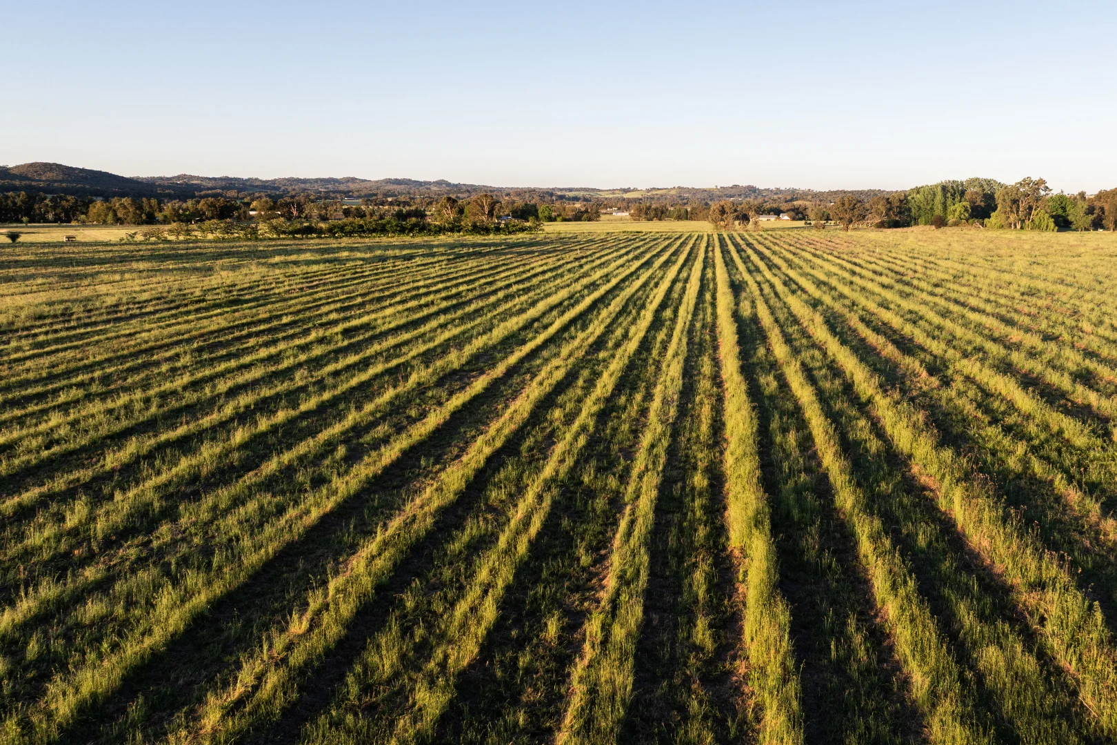 Additional image 7 of Lot 1 Black Springs Road, Mudgee NSW 2850