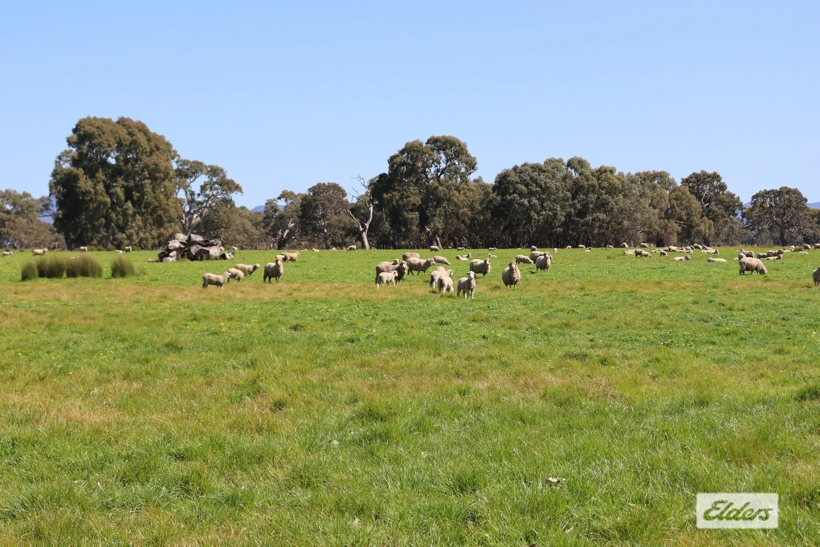 CA 91a 91b Mitchell Street, Glenthompson VIC 3293