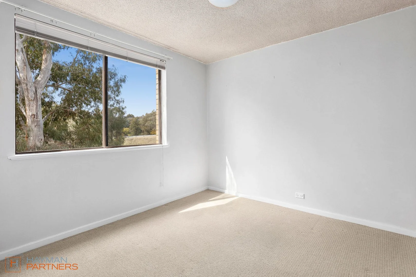 Additional image 6 of 3/16 Walsh Place, Curtin ACT 2605