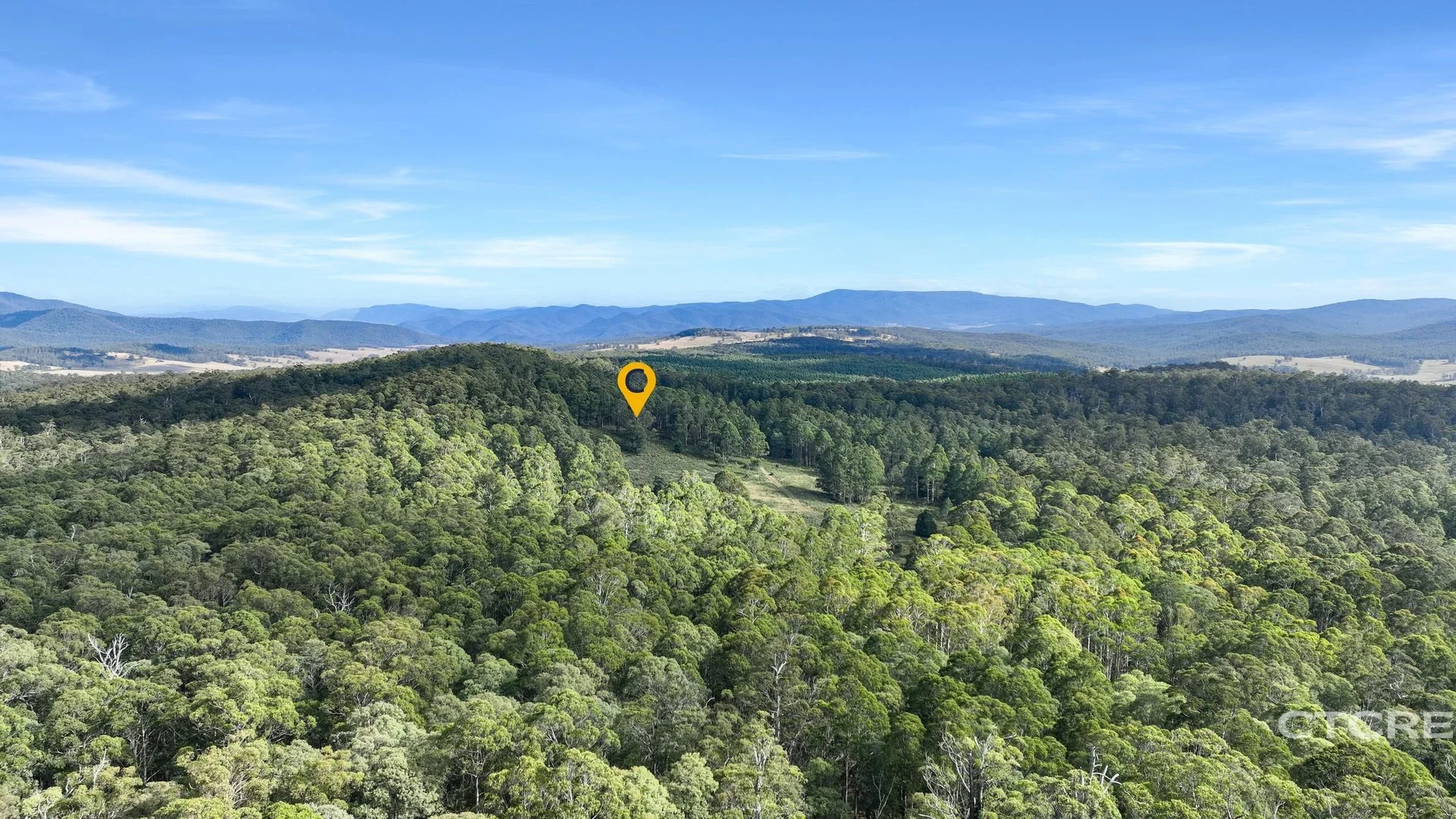 Additional image 2 of 12F & 12G Minchins Track, Bonang VIC 3888