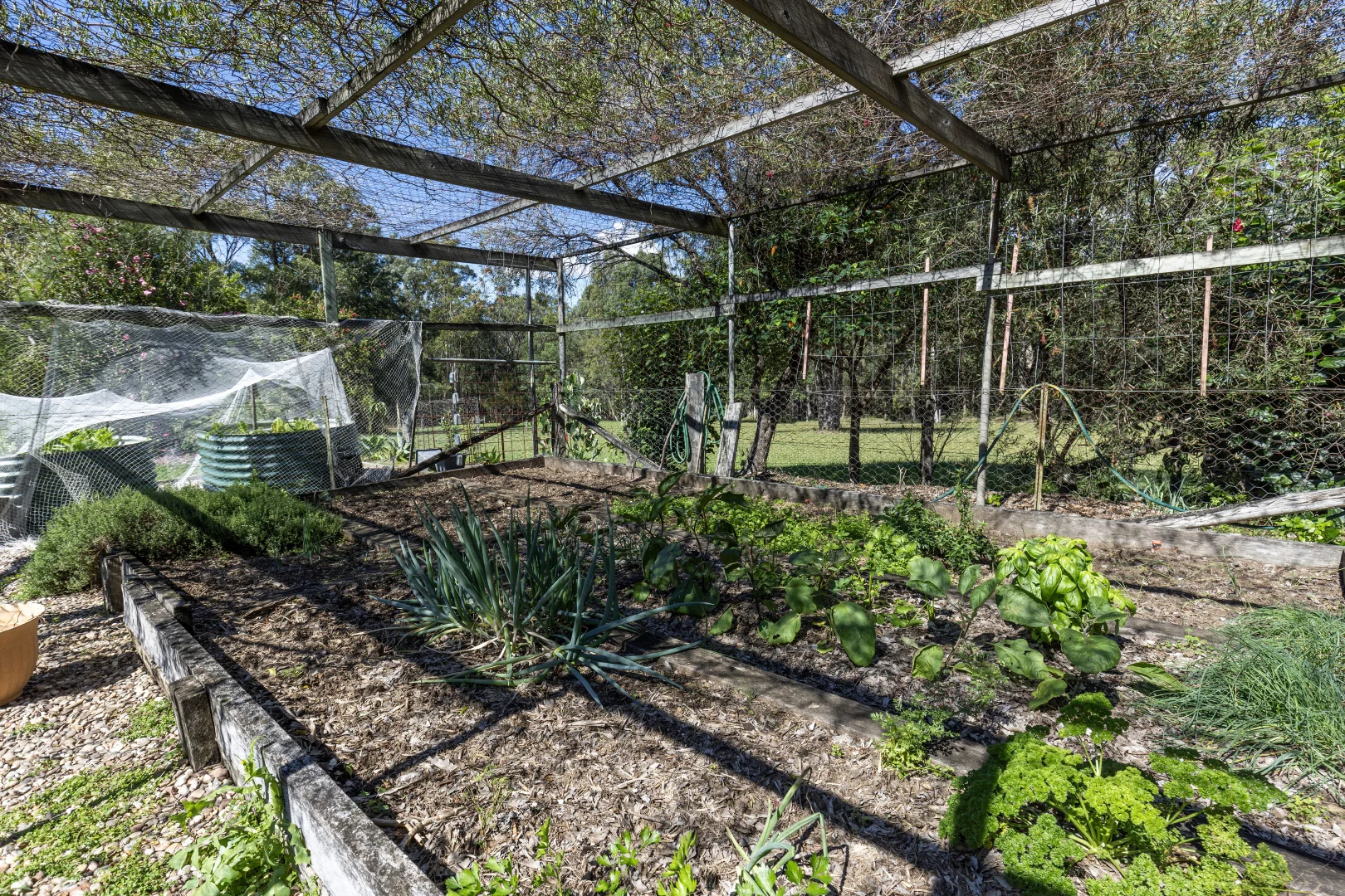 Additional image 13 of 1195 Illaroo Road, Tapitallee NSW 2540