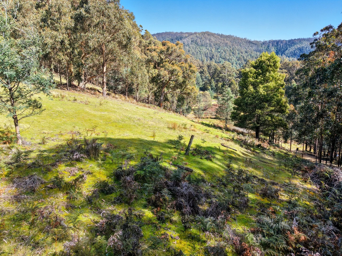 Additional image 9 of Lucaston TAS 7109