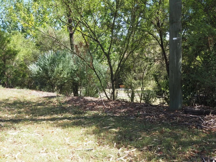 Additional image 15 of 58 Market Street, Warialda NSW 2402