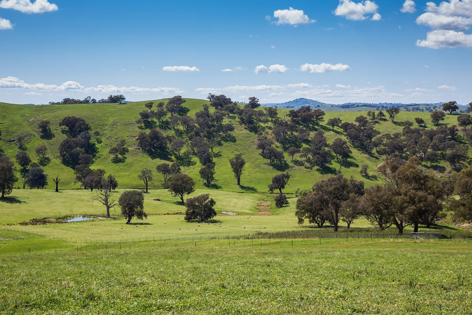 Additional image 18 of Holbrook NSW 2644