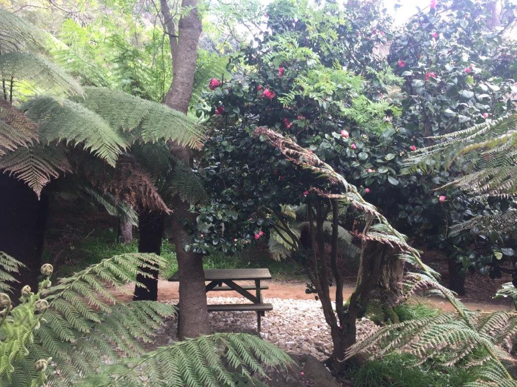 Additional image 44 of 317 Port Road, Boat Harbour Beach TAS 7321