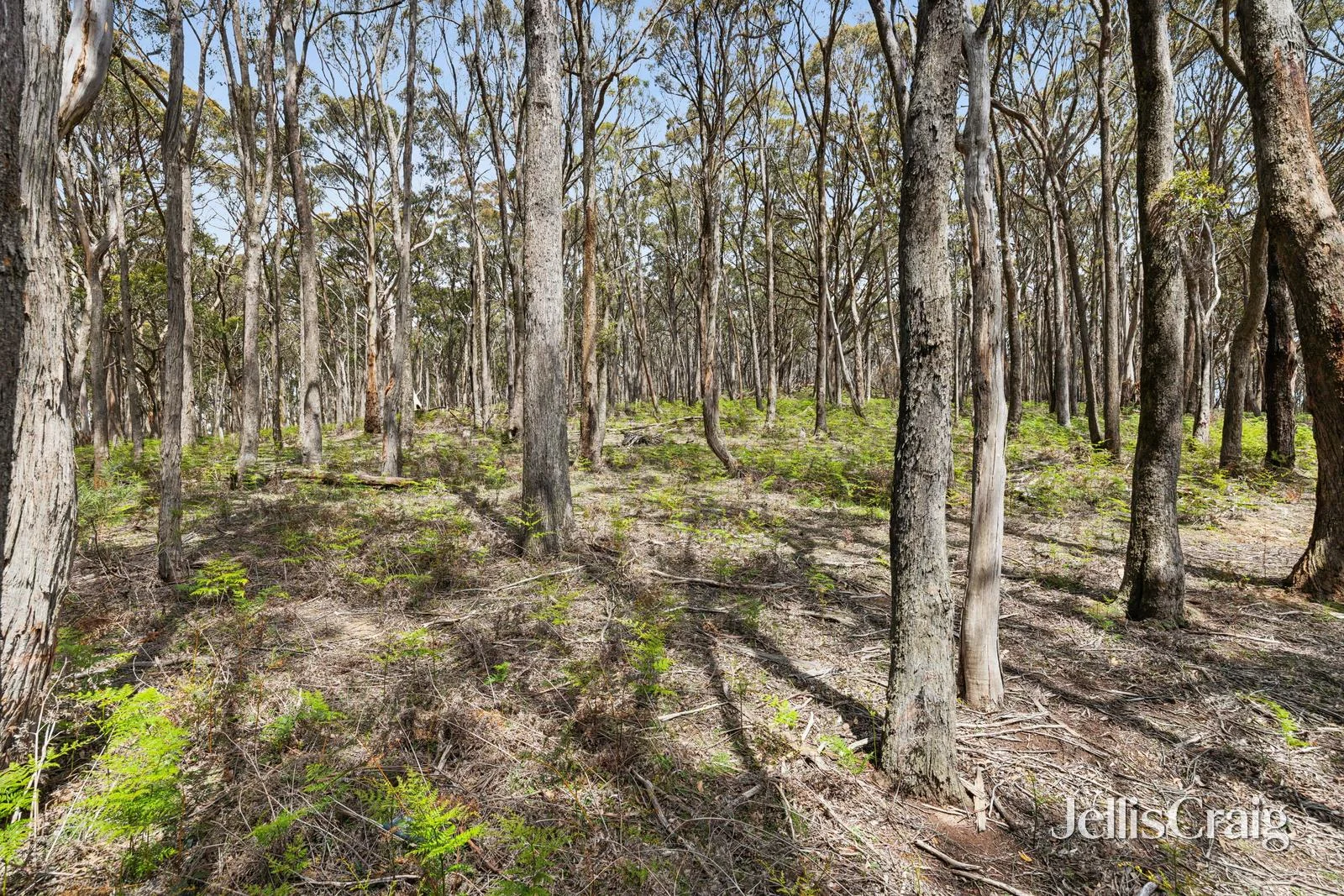 Additional image 7 of 34 Thomas Court, Gordon VIC 3345