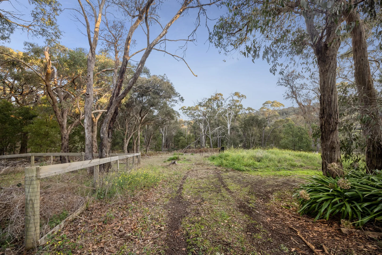 Additional image 20 of 5 Mountain Ash Court, Hidden Valley VIC 3756