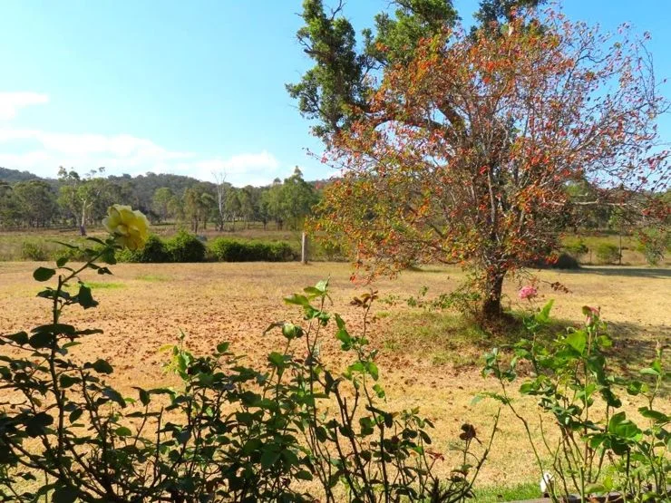 Additional image 28 of 98 McKechnie Road, Stanthorpe QLD 4380