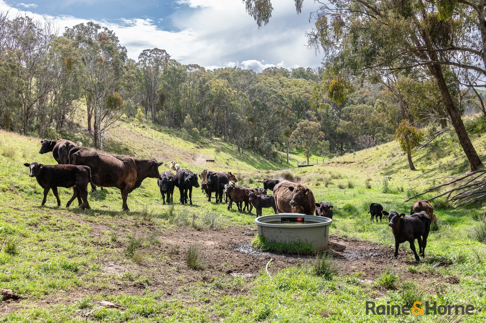 Additional image 10 of Lot 3/2553 Campfire Road, Walcha NSW 2354