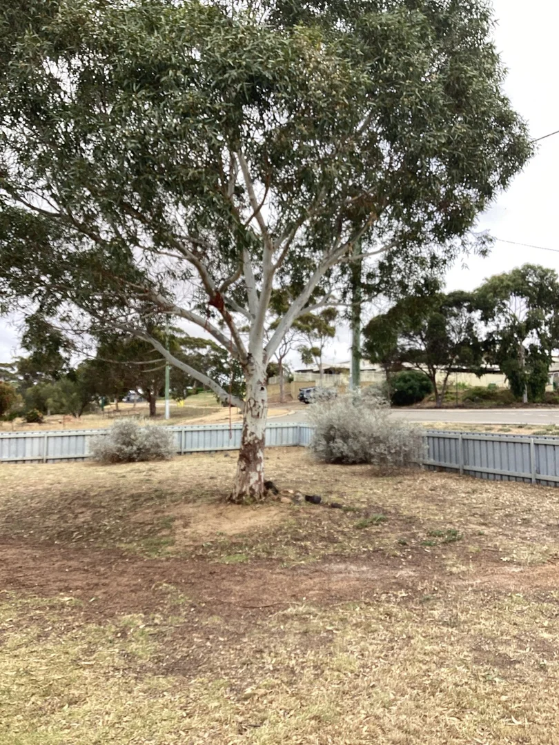 Additional image 4 of 88 Spence, Ravensthorpe WA 6346