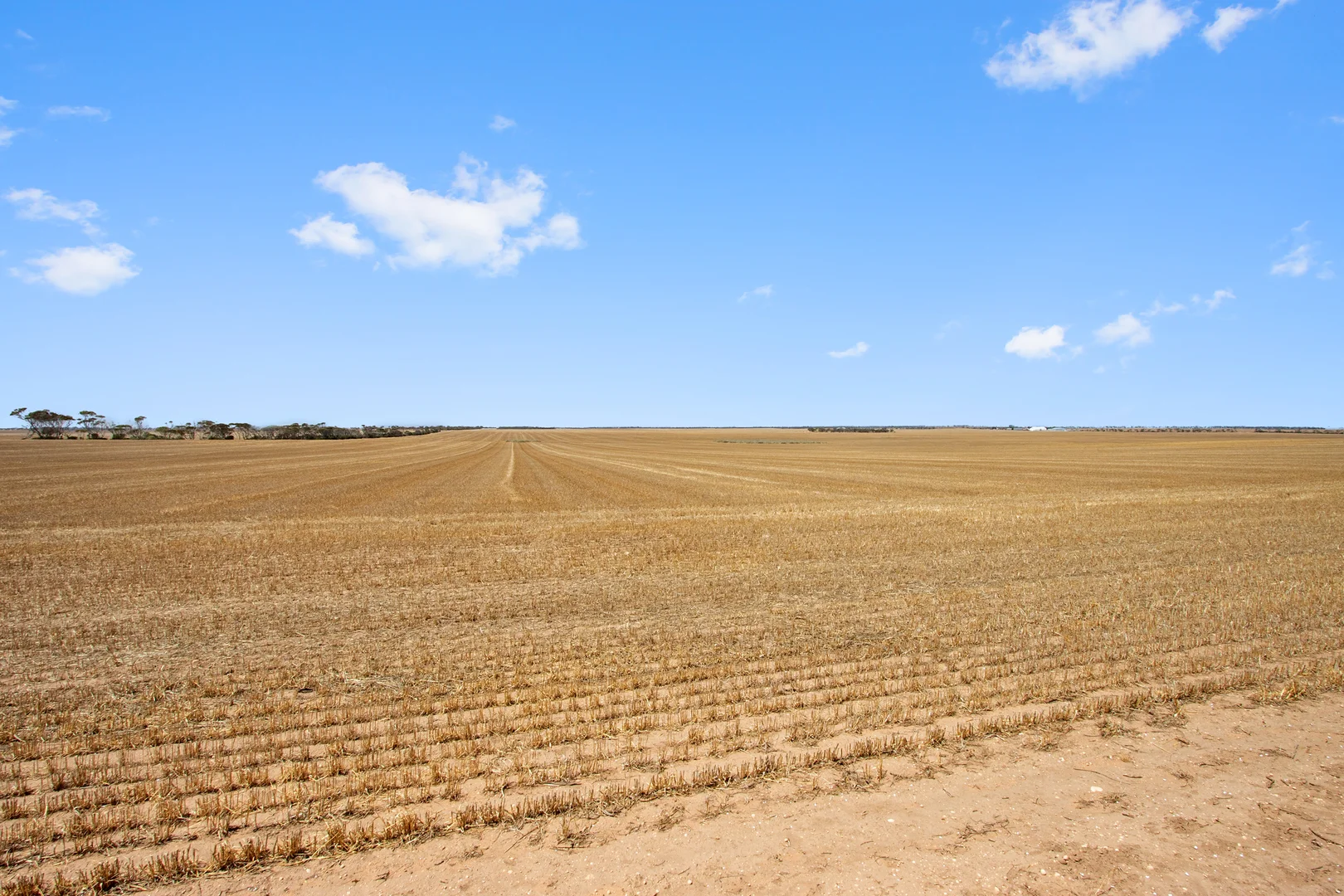 Additional image 15 of Sections 40 & 9 Kadina - Tickera Road, Kadina SA 5554