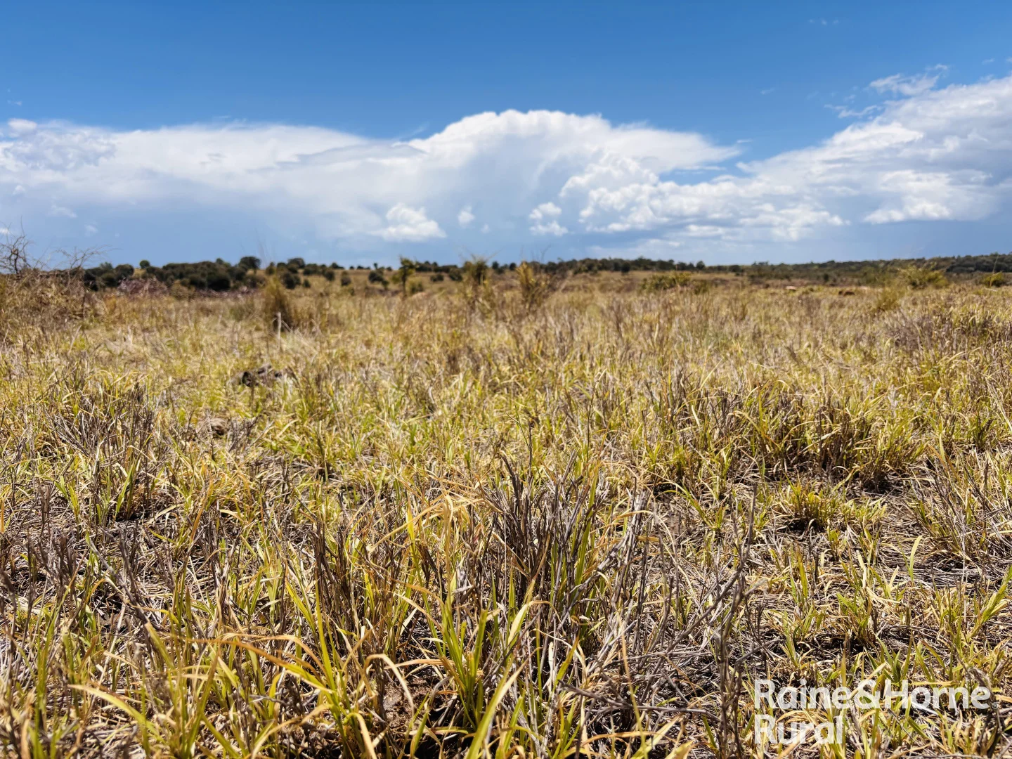 Additional image 12 of 330 Burrow Downs Road, Injune QLD 4454