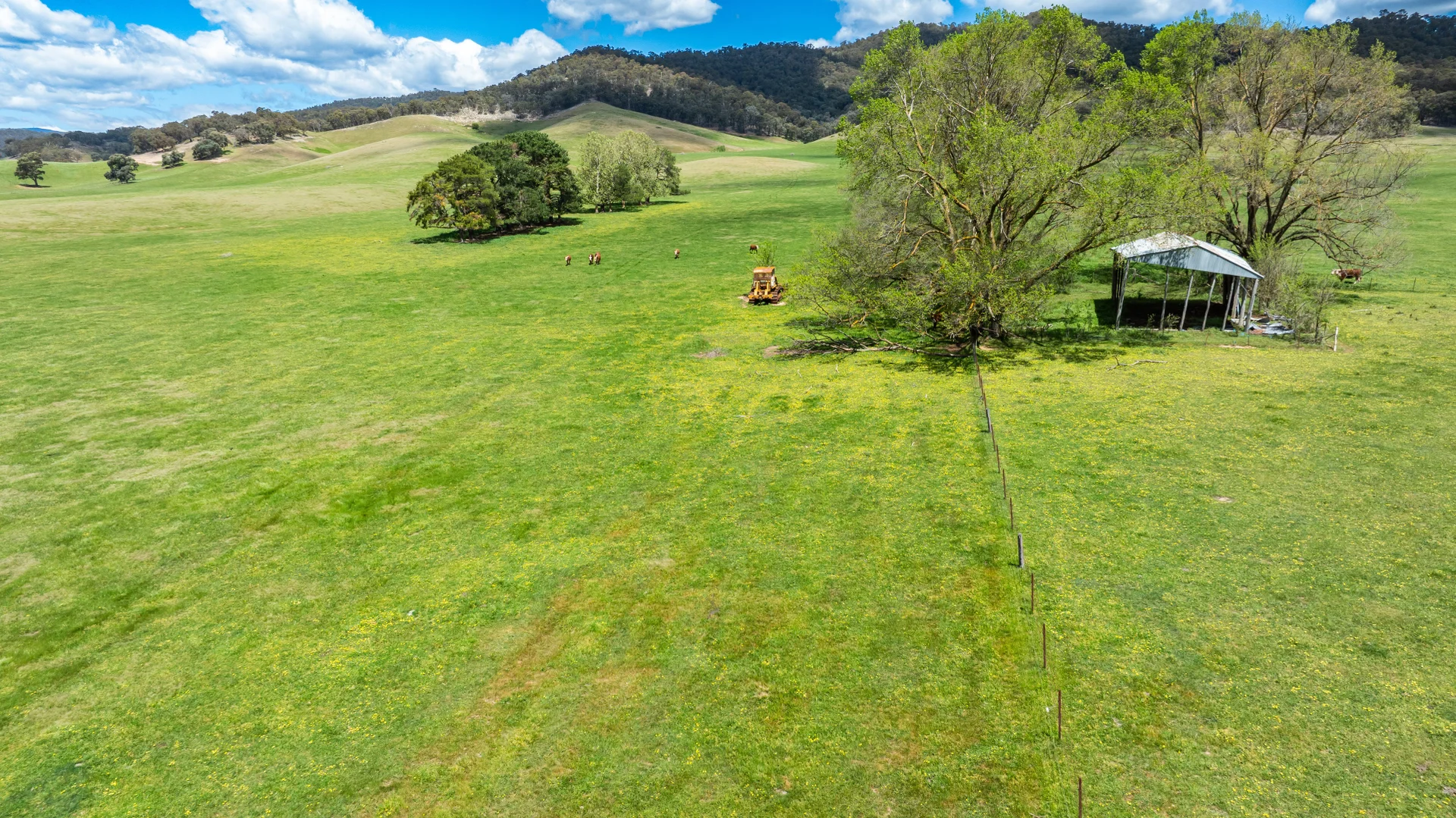 Additional image 23 of 'Grassmere'/2485 Tallangatta Creek Rd, Tallangatta Valley VIC 3701