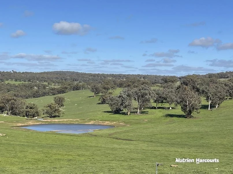 Additional image 18 of 967 Northam-Toodyay Road, Katrine WA 6401