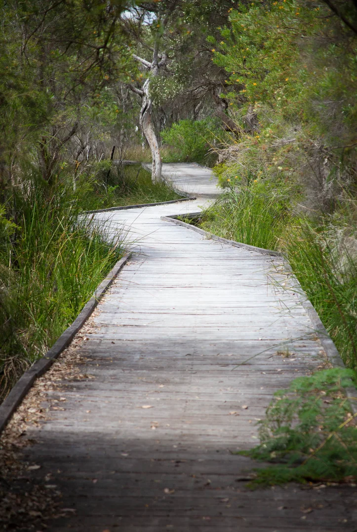 Additional image 39 of 63 karri street, Walpole WA 6398