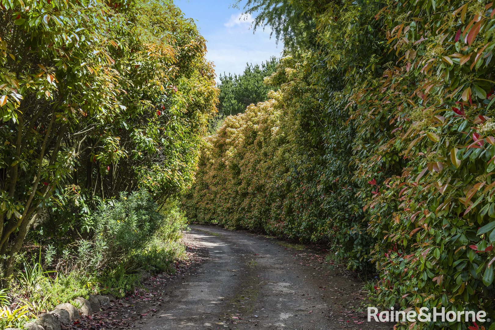 Additional image 7 of 545 Kyneton Springhill Road, Kyneton South VIC 3444