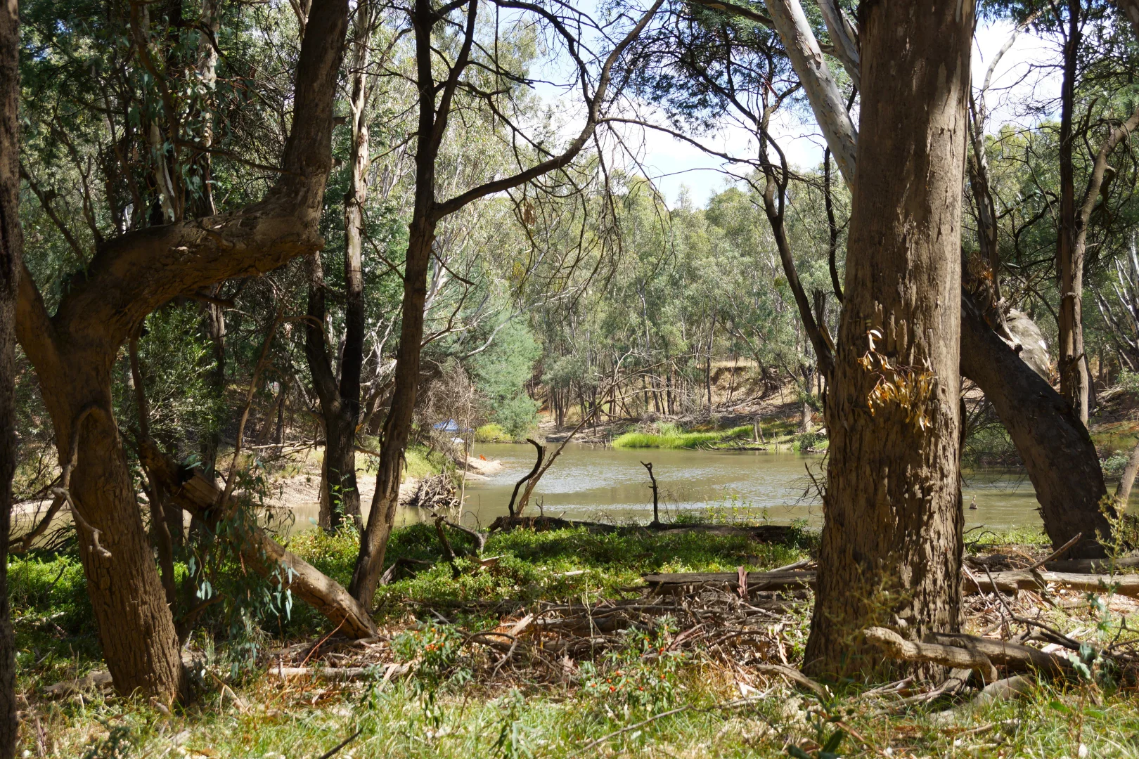 Additional image 23 of 64 Arcadia Downs Drive, Kialla VIC 3631