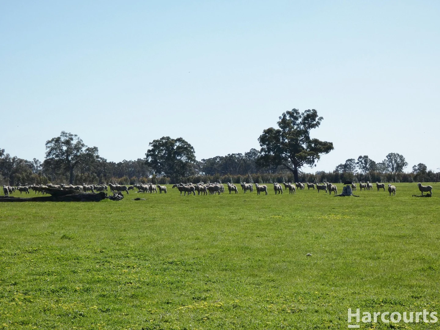 . Red Rock Road, Glenisla VIC 3314