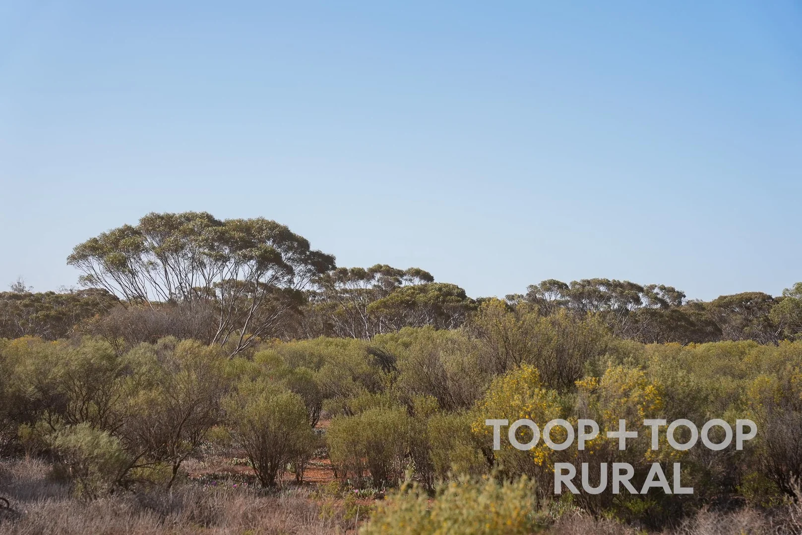 Additional image 6 of 1265 Warnecke Road, Monash SA 5342