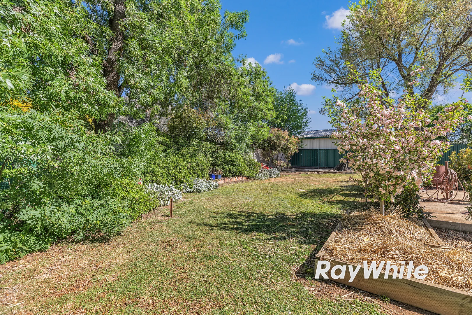 Additional image 45 of 37 Hopwood Street, Echuca VIC 3564