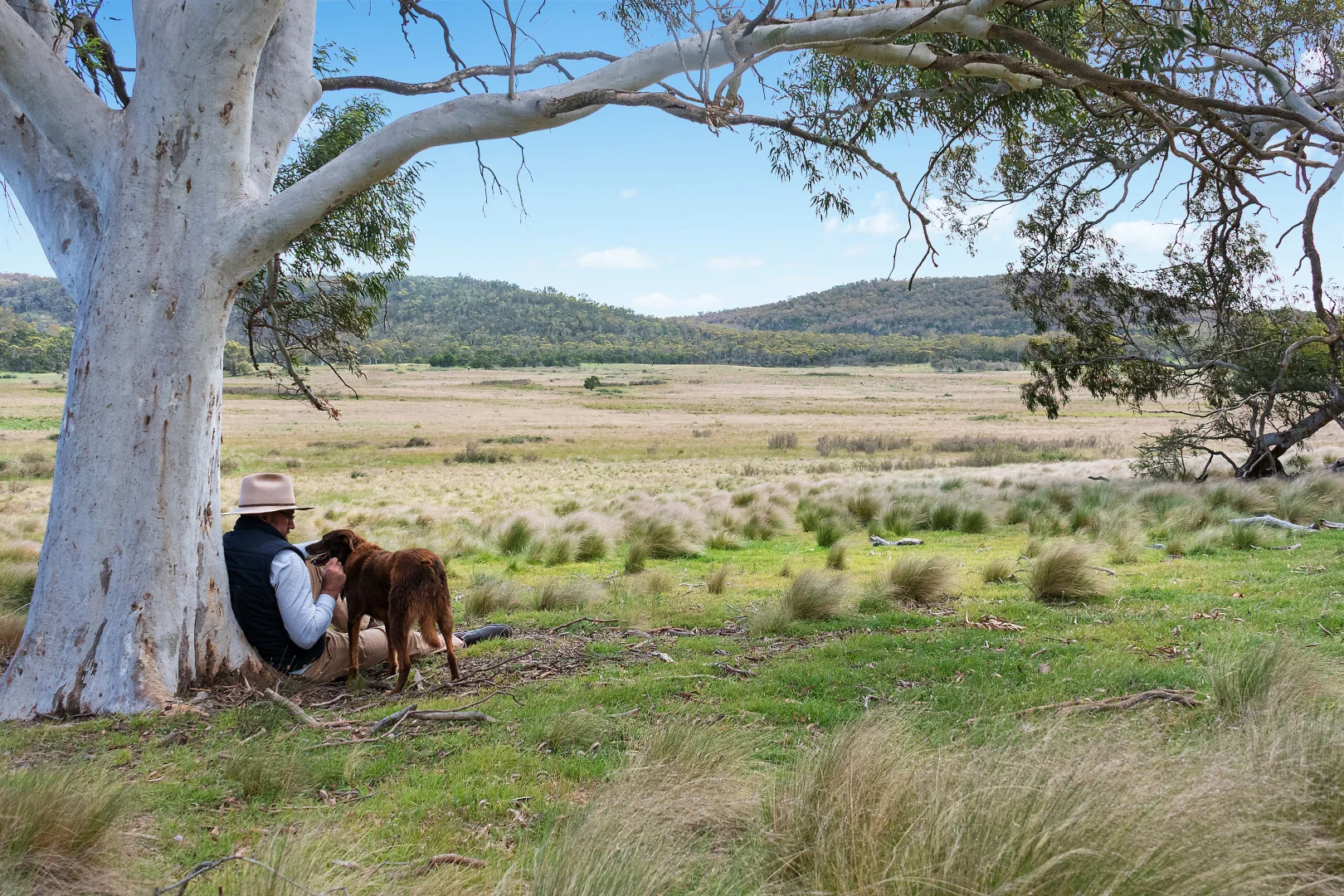 Additional image 15 of 14/371 Mayfield Road, Braidwood NSW 2622