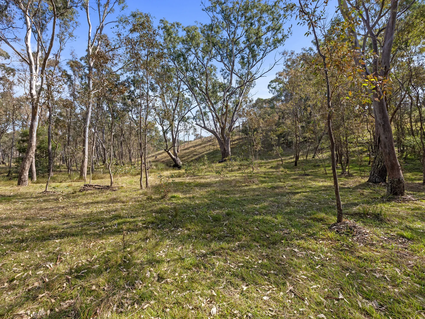Additional image 3 of 2 Heathcote North Costerfield Road, Heathcote VIC 3523
