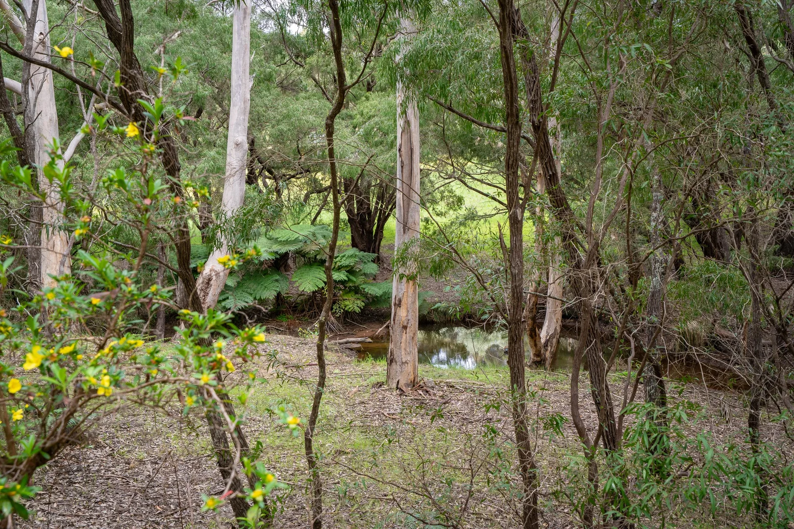 Additional image 10 of PL 602/169 Kevill Road, Margaret River WA 6285