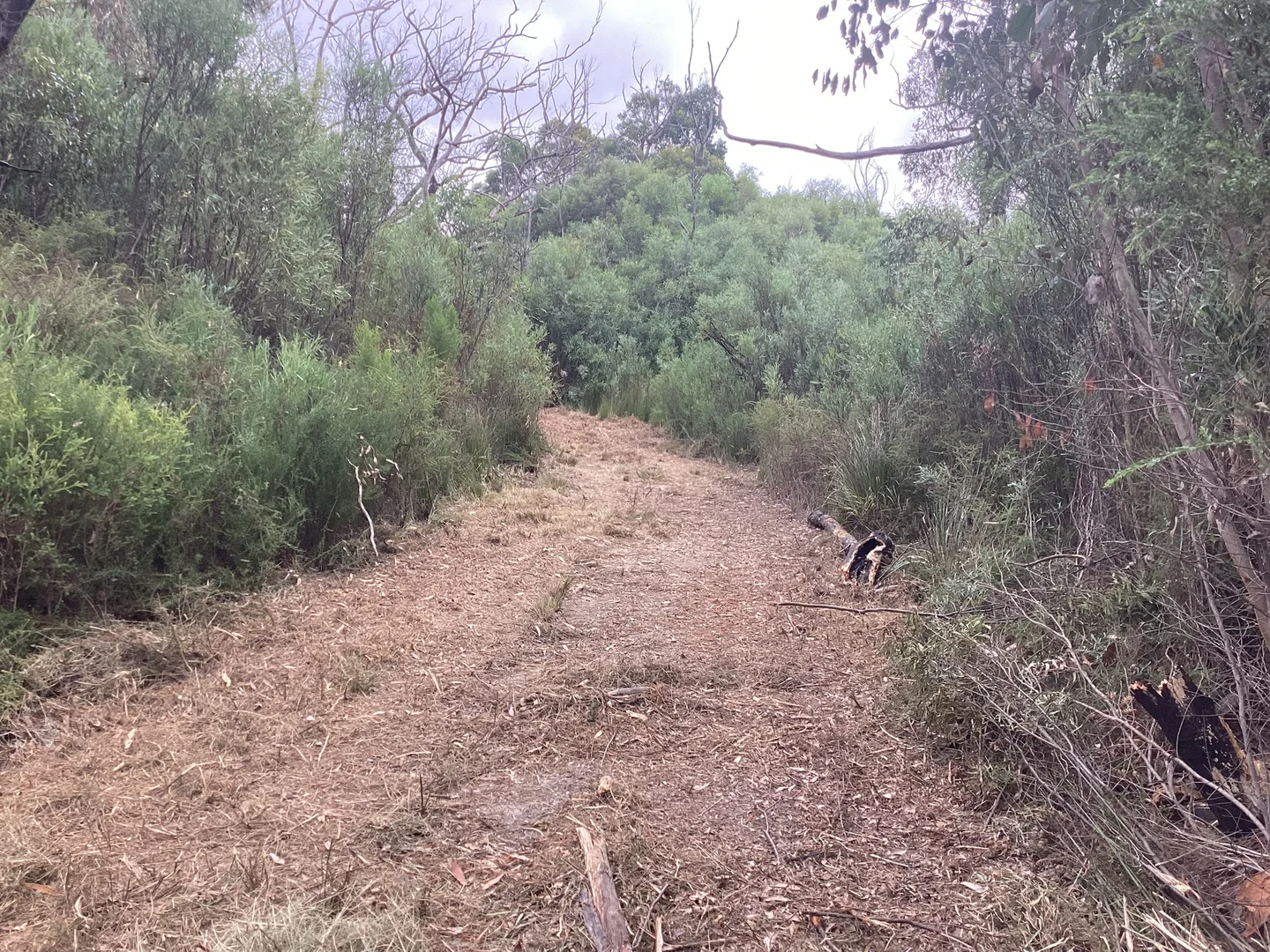 Additional image 47 of 157 Berrymans Road, Gosse SA 5223