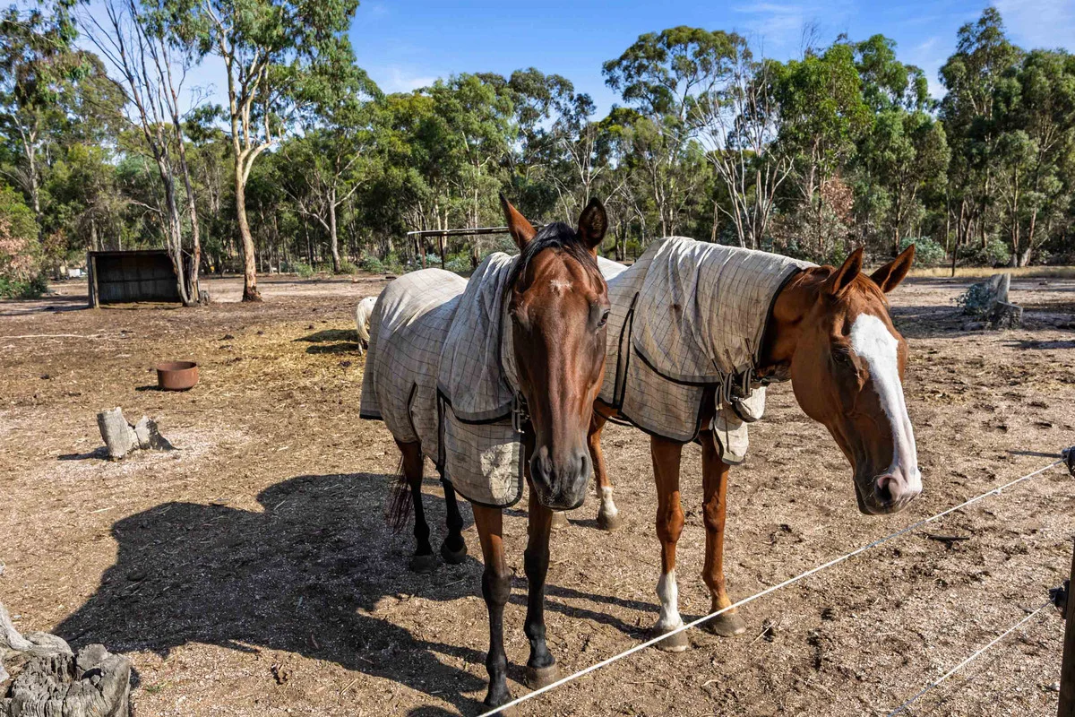 Additional image 3 of 28 Svensen Road, Majorca VIC 3465