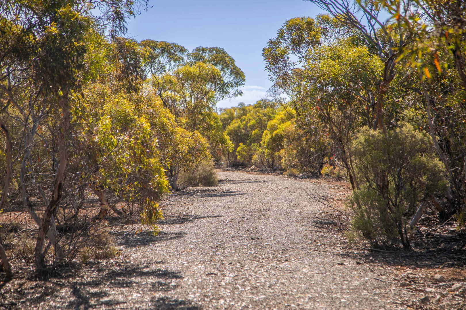 Additional image 11 of Lot 102 Green Road, Ettrick SA 5253