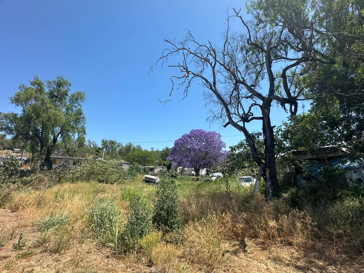 208 Mount Sylvia Road, Upper Tenthill QLD 4343