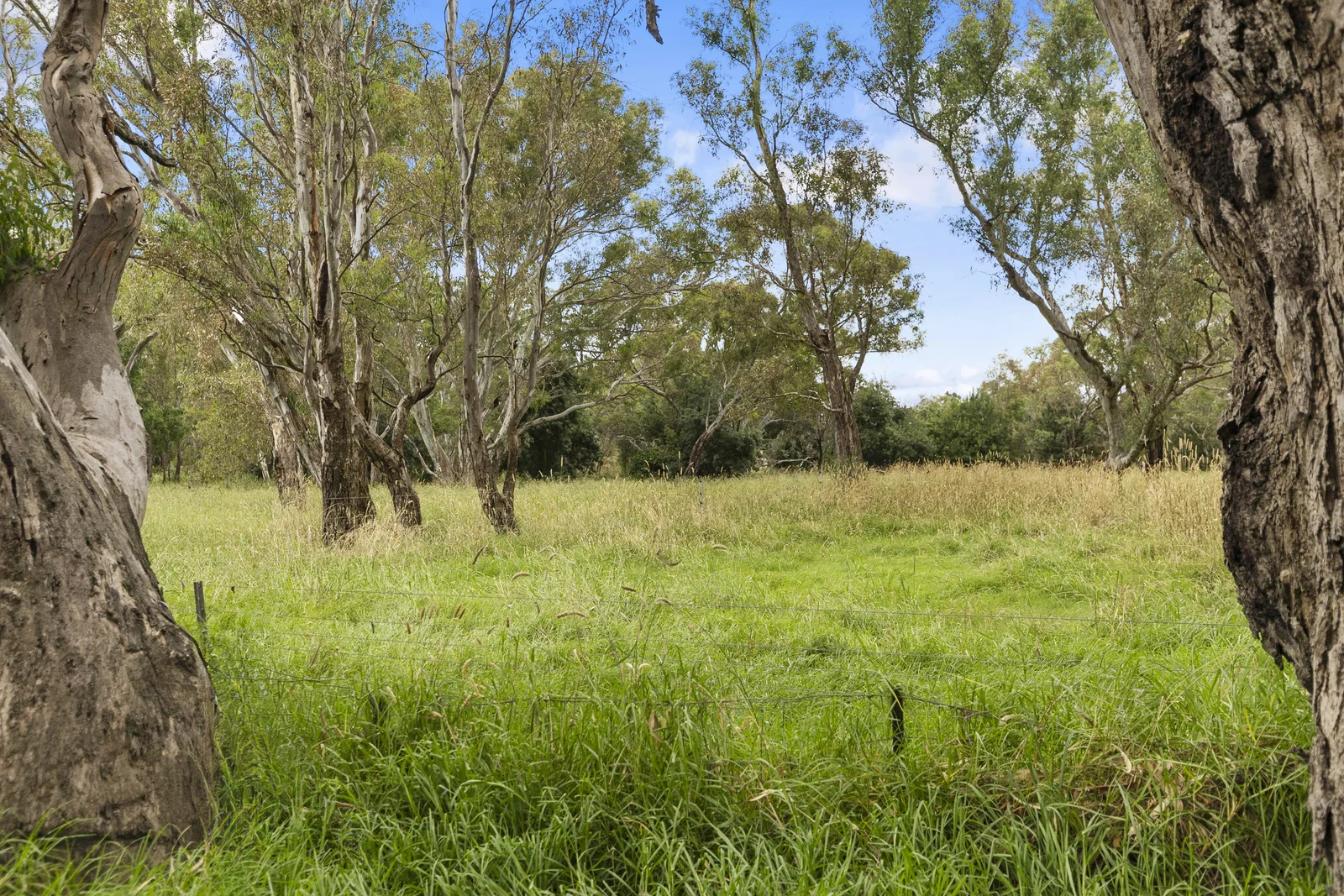 Additional image 5 of 8-10 Scobie Street South, Avenel VIC 3664