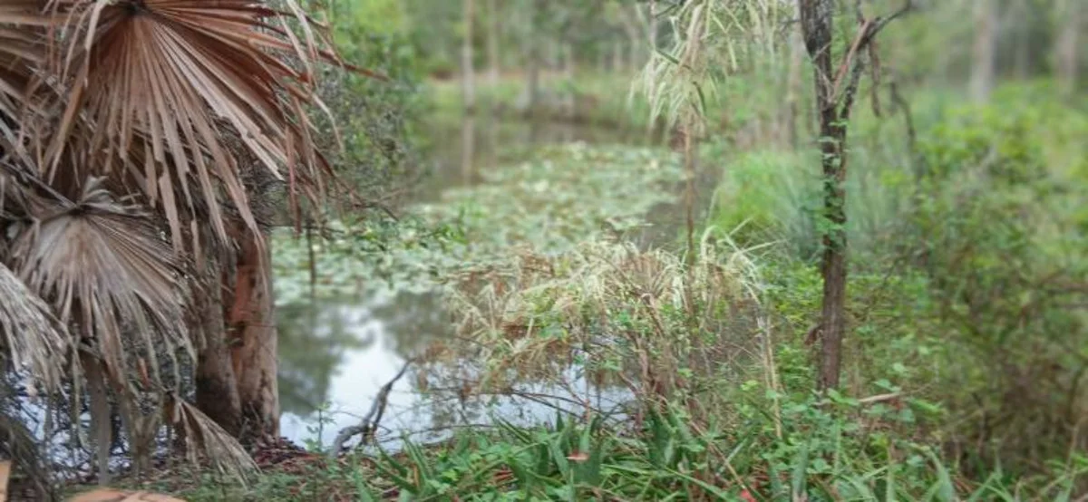 Additional image 4 of 1 Top End Mines Road, Torbanlea QLD 4662