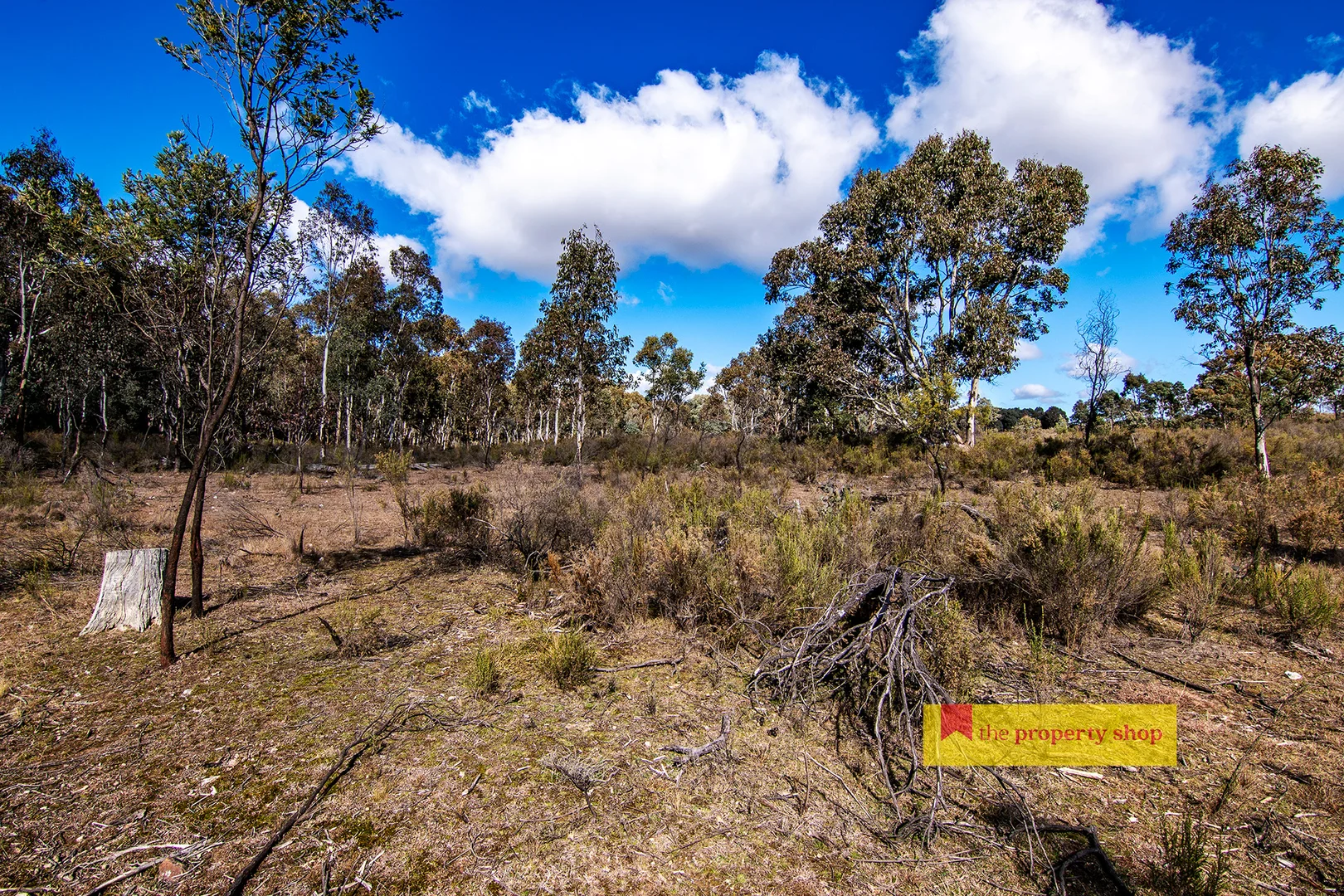 Additional image 2 of 4, 22 & 29/153 Triamble Road, Mudgee NSW 2850
