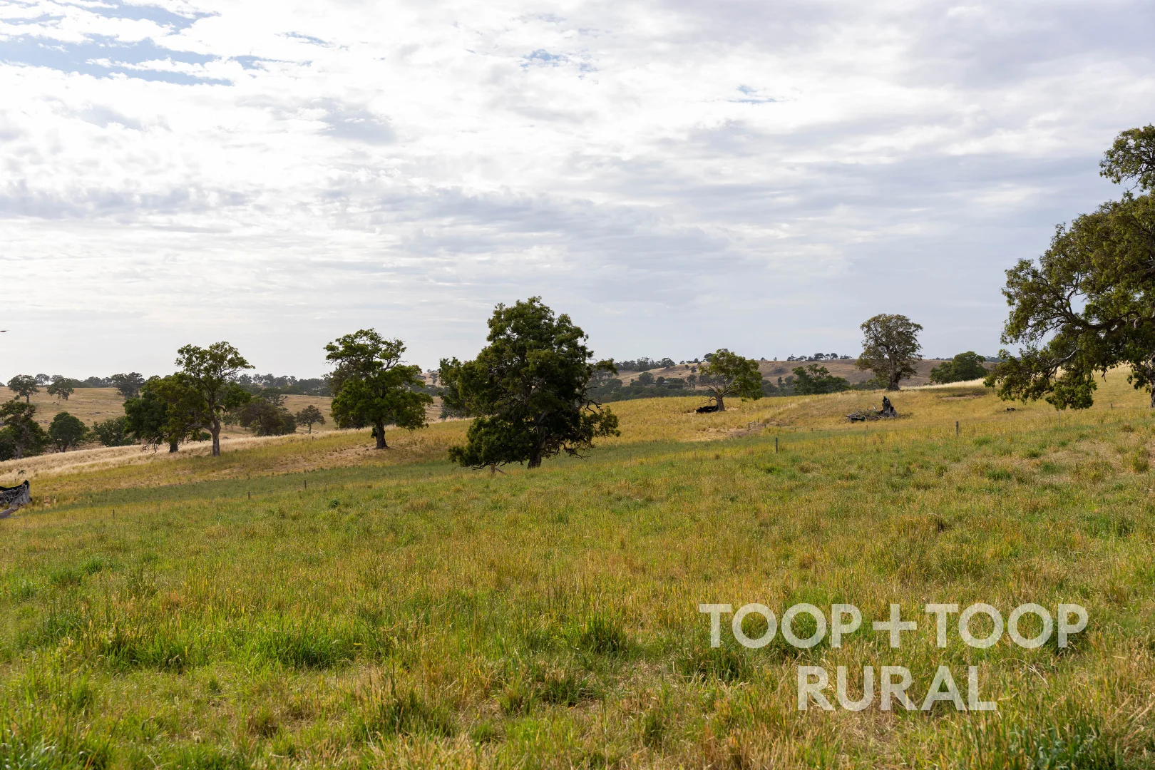 Additional image 27 of 70 Scottsburn Road, Woodside SA 5244